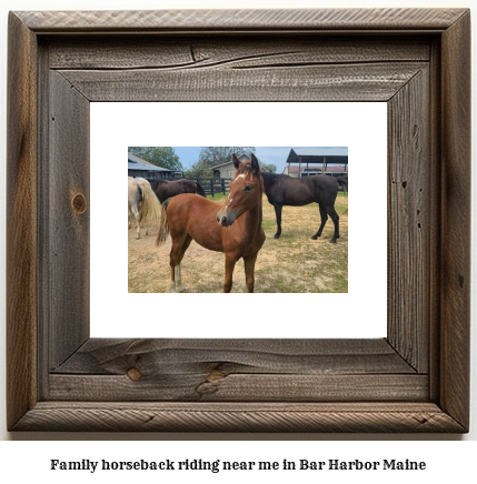 family horseback riding near me in Bar Harbor, Maine